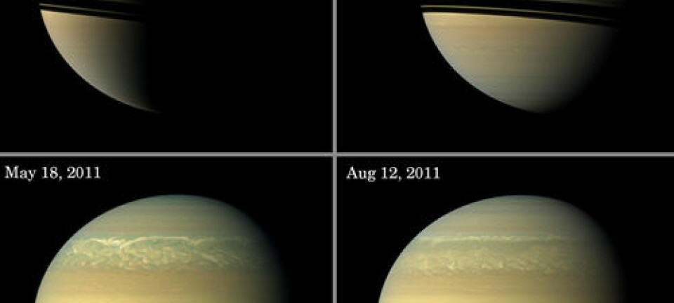 Saturn, storm 2010-2011. (Illustrasjon: NASA/JPL-Caltech/Space Science Institute)