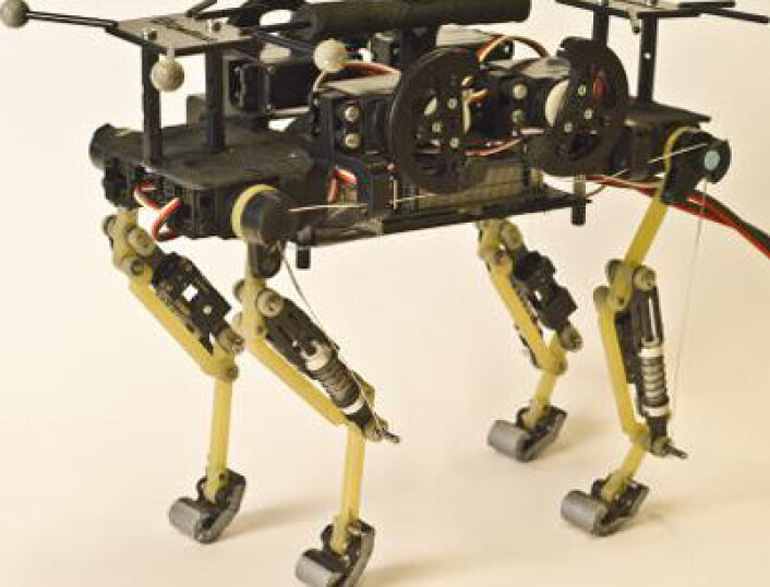 Roboten deler noen av trekkene med en ekte katt ved å være liten, og løpe ganske raskt og smidig. Hodet mangler derimot, slik at mjauing og andre lyder eventuelt gjenstår. (Foto: EPFLnews) Roboten deler noen av trekkene med en ekte katt ved å være liten, og løpe ganske raskt og smidig. Hodet mangler derimot, slik at mjauing og andre lyder eventuelt gjenstår. (Foto: EPFLnews)