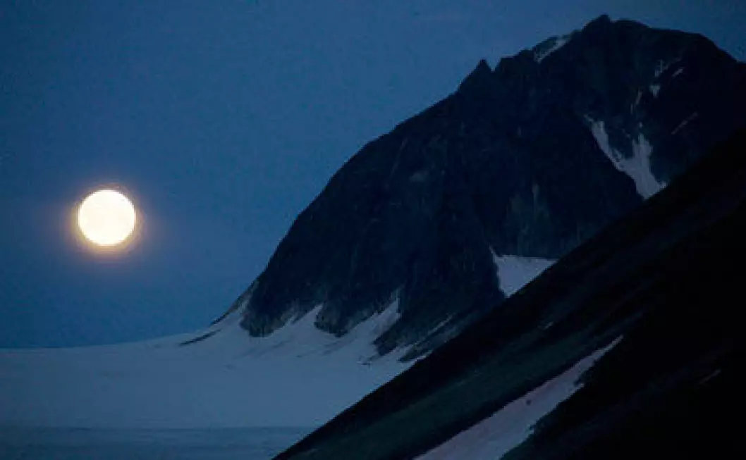 Månelyset in den ellers så mørke polarnatten påvirker livet i polhavet. (Foto: Geir Johnsen/UNIS)