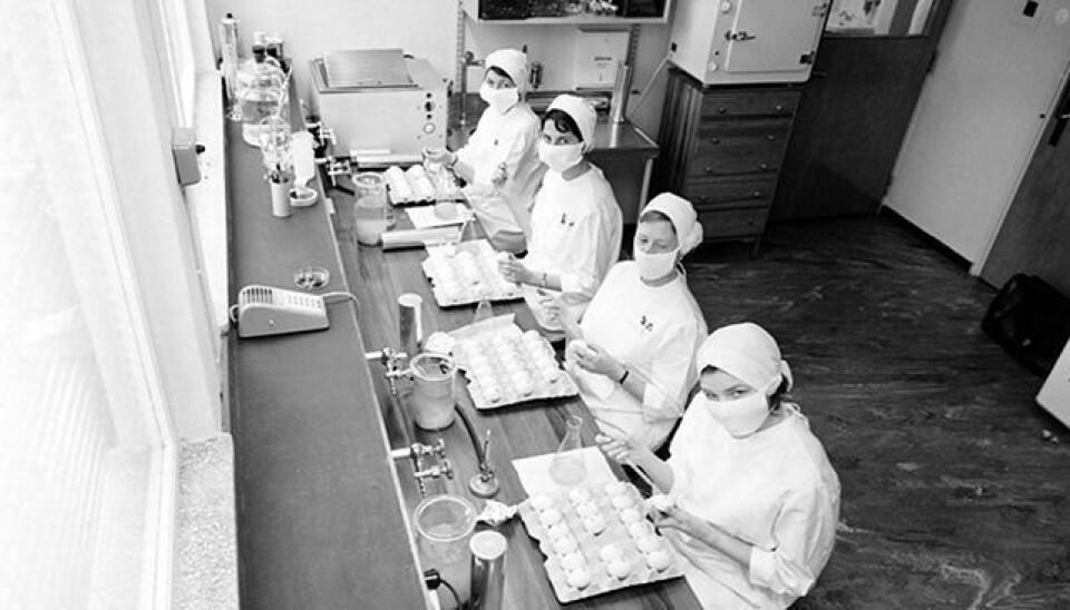 The Norwegian Institute of Public Health (Folkehelseinstituttet, FHI) was established when the government wanted to increase it's capacity to develop vaccines. Here are four women working at the FHI influenza laboratory in 1962.