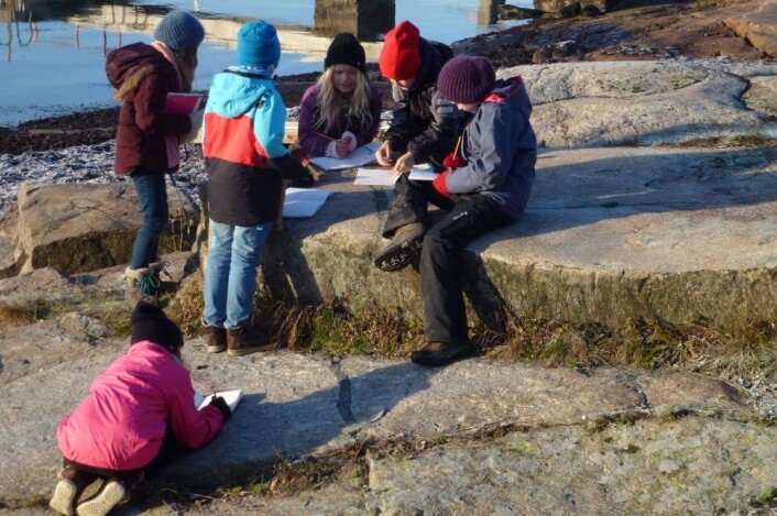 Det er få prikkete steiner på Nesodden, lærte elevene. Det skyldes en dramatisk hendelse for 300 millioner år siden. (Foto: Annette Tingstad) Det er få prikkete steiner på Nesodden, lærte elevene. Det skyldes en dramatisk hendelse for 300 millioner år siden. (Foto: Annette Tingstad)