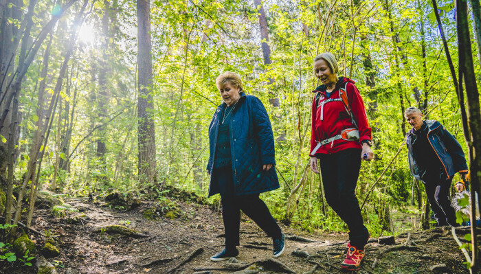 Veldig mange nordmenn går turer i skog og mark. Her er statsminister Erna Solberg med turleder Berit Loennechen Feiring da DNT arrangerte sin første seniortur i Kongeskogen på Bygdøy etter korona-nedstengningen tidligere i år. Veldig mange nordmenn går turer i skog og mark. Her er statsminister Erna Solberg med turleder Berit Loennechen Feiring da DNT arrangerte sin første seniortur i Kongeskogen på Bygdøy etter korona-nedstengningen tidligere i år.