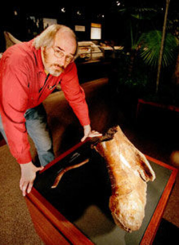 Jack Horner (Foto: Museum of the Rockies/MSU) Jack Horner (Foto: Museum of the Rockies/MSU)