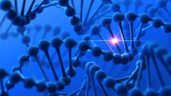 Ett gen, en egenskap. Den tanken er i ferd med å bli helt utdatert, etter hvert som vi ser hvordan arvematerialet vårt påvirker seg selv på utallige forskjellige måter. (Foto: (Bilde: Istockphoto))