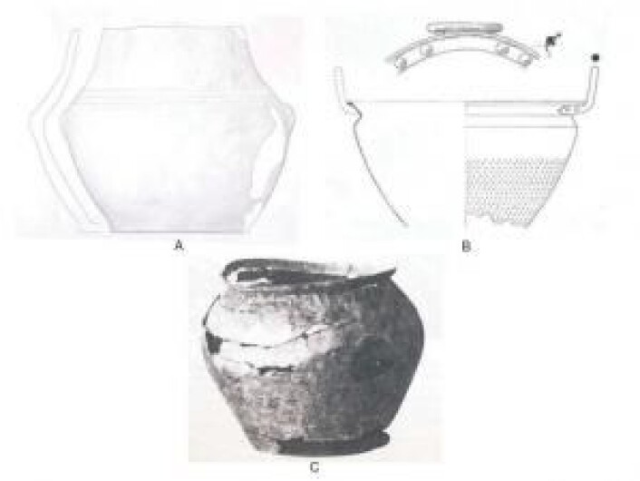 Dette er de tre danske krukkene. Den eldste, fra Nandrup (A), er trolig fra mellom år 1500–1300 før Kristus. Den nest eldste, fra Kostræde (B), viste seg å inneholde rester av vin. Den siste krukken er fra Jyllinge (C) og er fra cirka 200 år før Kristus. (Foto:Patrick E. McGovern et. al.) Dette er de tre danske krukkene. Den eldste, fra Nandrup (A), er trolig fra mellom år 1500–1300 før Kristus. Den nest eldste, fra Kostræde (B), viste seg å inneholde rester av vin. Den siste krukken er fra Jyllinge (C) og er fra cirka 200 år før Kristus. (Foto:Patrick E. McGovern et. al.)