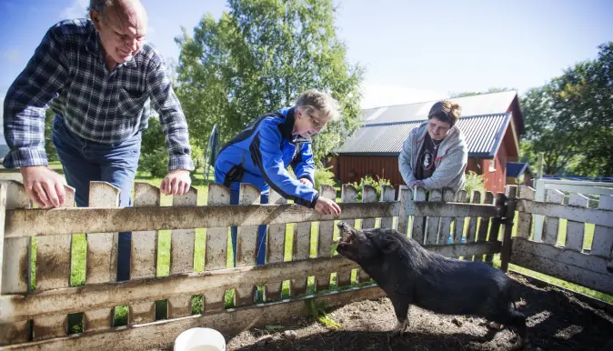 Gode dagaktivitetstilbud byr på opplevelser som gir noe mer. Gode dagaktivitetstilbud byr på opplevelser som gir noe mer.