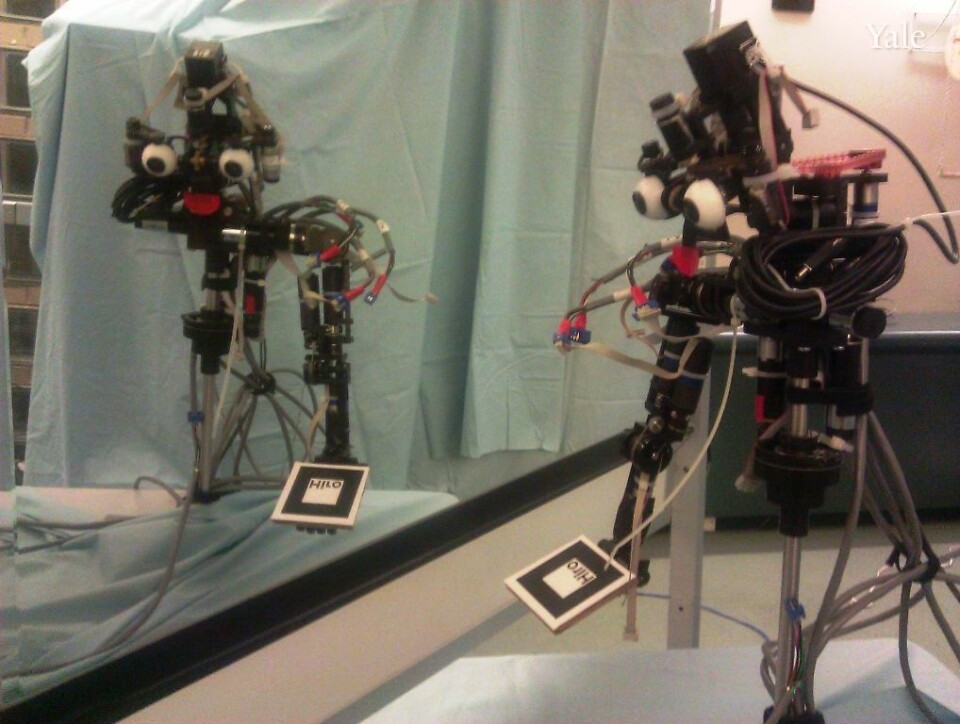 Roboten NICO bruker mye tid på å speile seg, men det er ikke fordi han er en jålebukk - ihvertfall ikke så vidt forskerne vet. (Foto: Justin Hart/ Yale University)