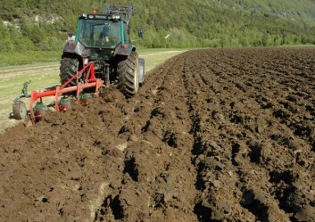 Norge har 1,7 dekar fulldyrket jord per innbygger. (Foto: Jon Schärer) Norge har 1,7 dekar fulldyrket jord per innbygger. (Foto: Jon Schärer)