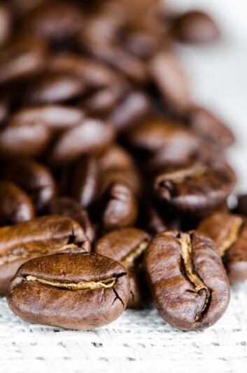 Hvis det er slik at kaffe forårsaker kreft, hva er det i så fall kaffen gjør med oss? ENCODE kan gi noen av svarene. (Foto: Colourbox) Hvis det er slik at kaffe forårsaker kreft, hva er det i så fall kaffen gjør med oss? ENCODE kan gi noen av svarene. (Foto: Colourbox)