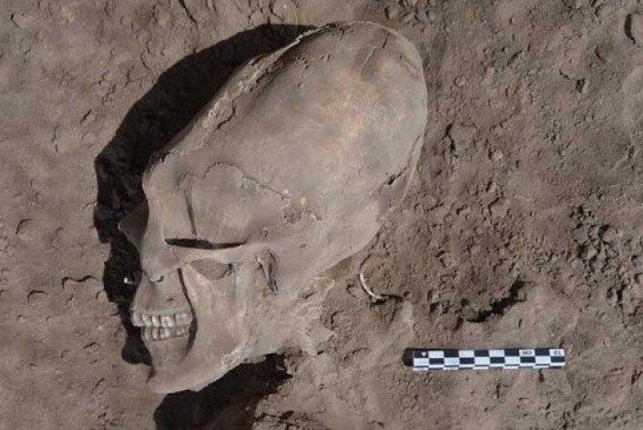 Denne 1000 år gamle hodeskallen ser ut til å stamme fra en helt annen planet. (Foto: INAH) Denne 1000 år gamle hodeskallen ser ut til å stamme fra en helt annen planet. (Foto: INAH)