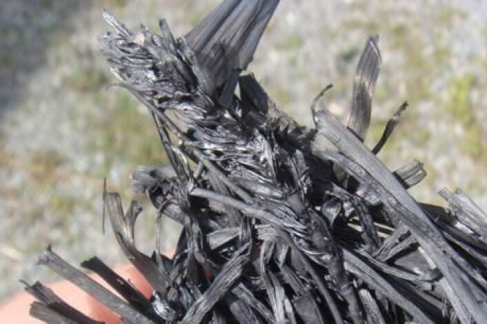 Biokull er et trekull-lignende materiale som blant annet egner seg godt til karbonbinding i jord. Nye forsøk viser at det også kan redusere planters opptak av tungmetaller. (Foto: Bioforsk) Biokull er et trekull-lignende materiale som blant annet egner seg godt til karbonbinding i jord. Nye forsøk viser at det også kan redusere planters opptak av tungmetaller. (Foto: Bioforsk)