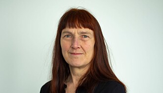 – Vold har ikke vært et sentralt tema i mannsforskningen i vår del av verden, sier Margunn Bjørnholt. – Vold har ikke vært et sentralt tema i mannsforskningen i vår del av verden, sier Margunn Bjørnholt.
