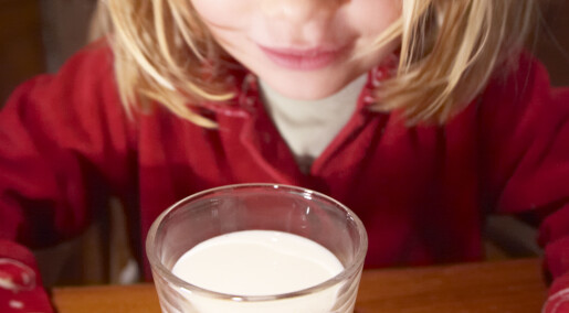 Syrnet melk redder nyttige bakterier