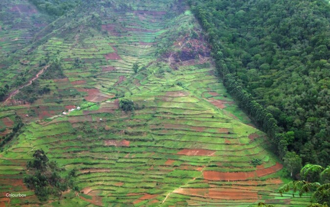 Agriculture is eating away at the world’s forests and biodiversity hotspots. Agriculture is eating away at the world’s forests and biodiversity hotspots.