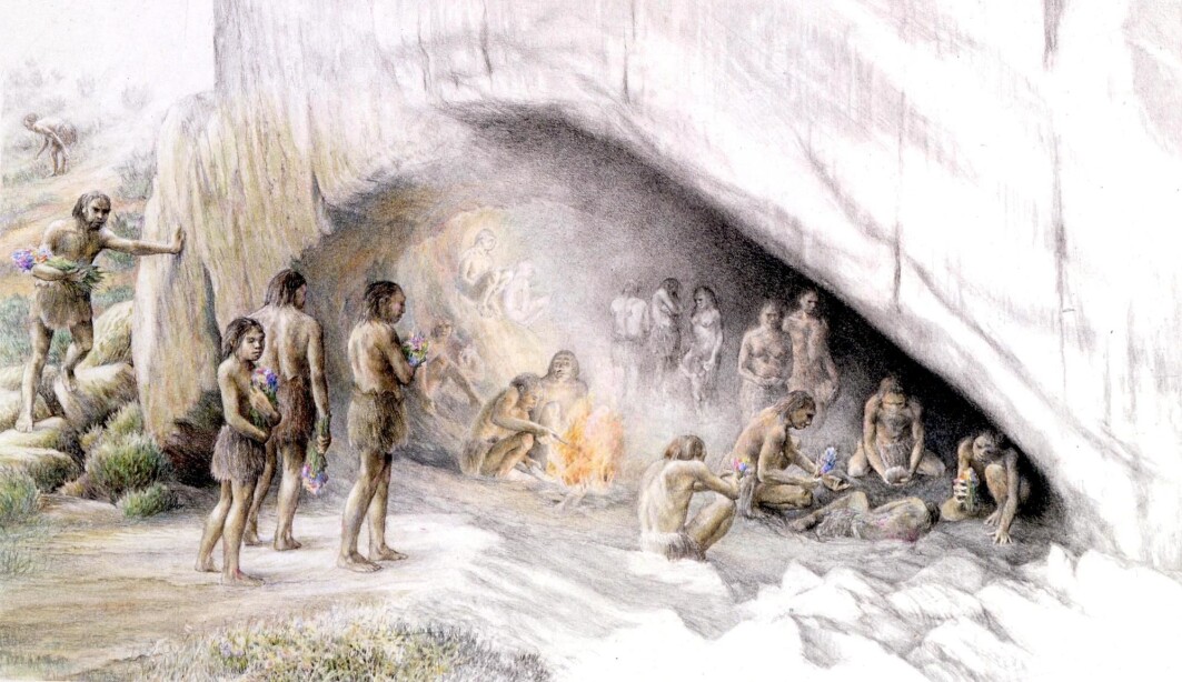 Var det slik det så ut da neandertaleren ble begravet i Shanidar-hulen? Eller er fortellingen om blomsterbegravelsen preget av syttitallets hippiekultur? Var det slik det så ut da neandertaleren ble begravet i Shanidar-hulen? Eller er fortellingen om blomsterbegravelsen preget av syttitallets hippiekultur?