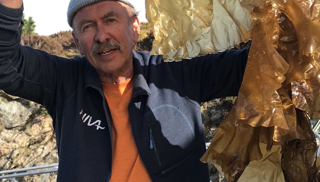 Tang og tare vil i framtiden trolig bli en mye større kilde til både mennesker og dyrs kosthold, samt som råstoff i andre industrier. Tang og tare vil i framtiden trolig bli en mye større kilde til både mennesker og dyrs kosthold, samt som råstoff i andre industrier.