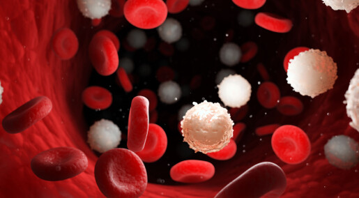 Norsk forskning gir håp: Blodkreft-rammede kan få mindre bivirkninger