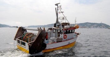 Mange rekefiskere har hatt noen tøffe år bak seg, med dårlige fangster. Men nå ser det ut til at bestanden i Skagerrak tar seg opp igjen. (Foto: Øyvind Berg, Havforskningsinstituttet) Mange rekefiskere har hatt noen tøffe år bak seg, med dårlige fangster. Men nå ser det ut til at bestanden i Skagerrak tar seg opp igjen. (Foto: Øyvind Berg, Havforskningsinstituttet)
