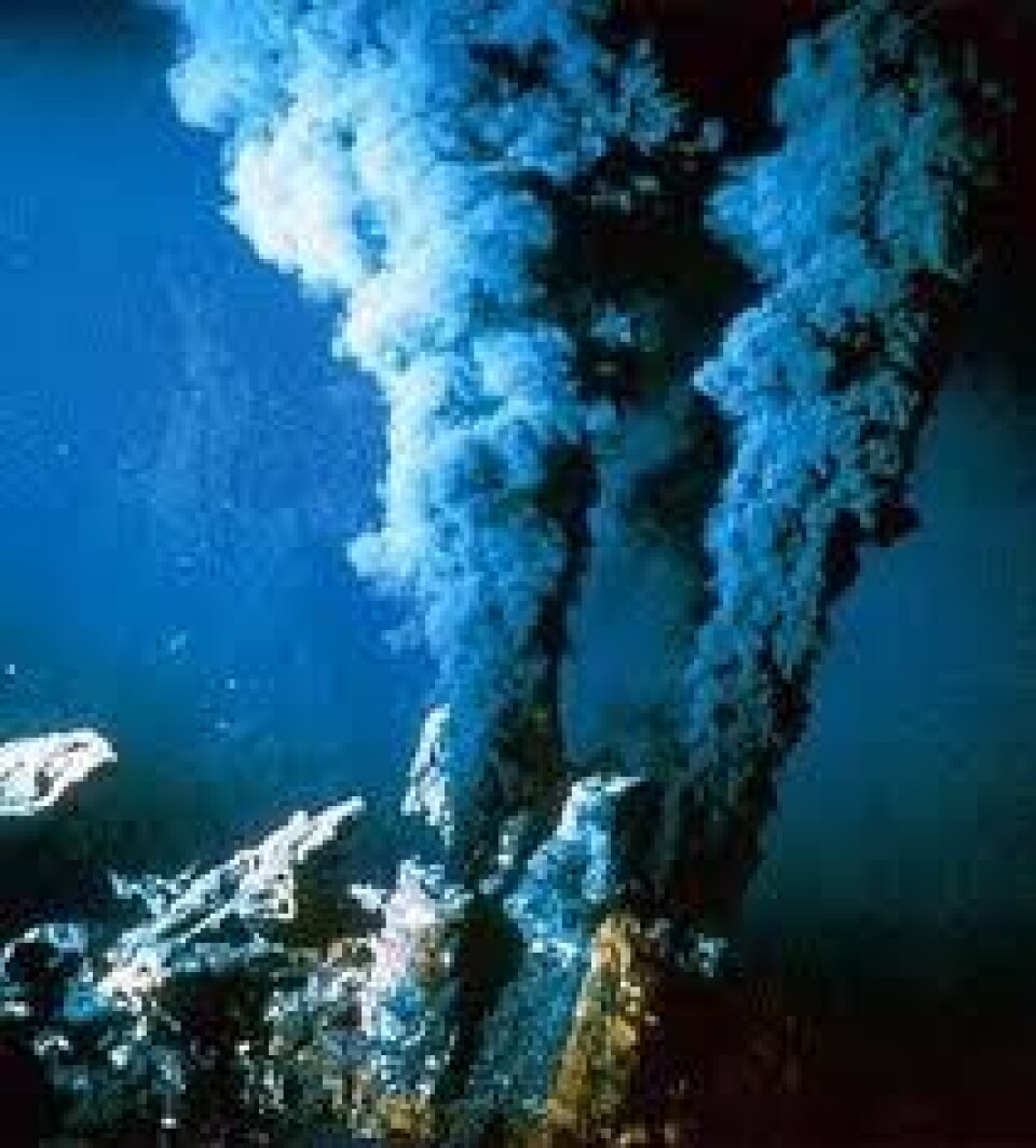 Rundt de undersjøiske varme kildene oppstår et helt særegent økosystem. (Foto: discoverytimes.blogspot.com)