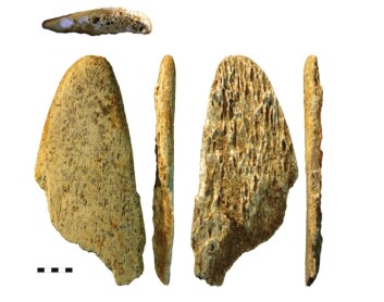 Forskerne har funnet det de mener er verktøy til å forbedre dyrehuder, laget av neandertalere. Det viser en avansert kultur, og mulig kunnskapsoverføring fra dem til Homo sapiens. (Foto: Abri Peyrony & Pech-de-l’Azé I-prosjektene) Forskerne har funnet det de mener er verktøy til å forbedre dyrehuder, laget av neandertalere. Det viser en avansert kultur, og mulig kunnskapsoverføring fra dem til Homo sapiens. (Foto: Abri Peyrony & Pech-de-l’Azé I-prosjektene)
