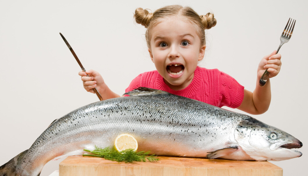 Det er sunt å spise fisk, får du nok ofte høre. Nå har forskere prøvd å finne ut om ikke plasten i havet gjør den usunn. Det er sunt å spise fisk, får du nok ofte høre. Nå har forskere prøvd å finne ut om ikke plasten i havet gjør den usunn.