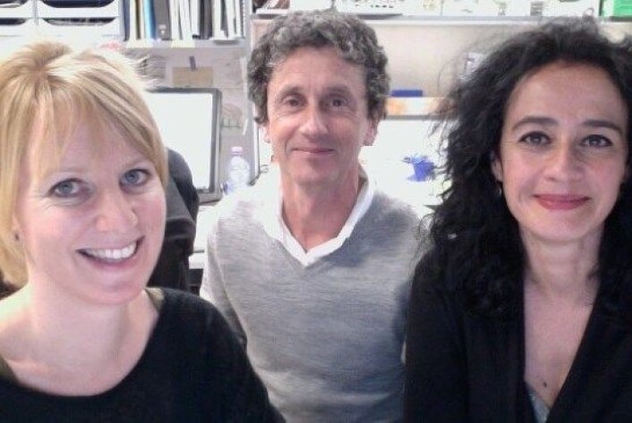Post-doc-forskar Marianne Bjørndal Ganot, leiar Pierre Leopold og seniorforskar Nathalie Arquier. (Foto: IInstitut de Biologie Valrose (iBV)) Post-doc-forskar Marianne Bjørndal Ganot, leiar Pierre Leopold og seniorforskar Nathalie Arquier. (Foto: IInstitut de Biologie Valrose (iBV))