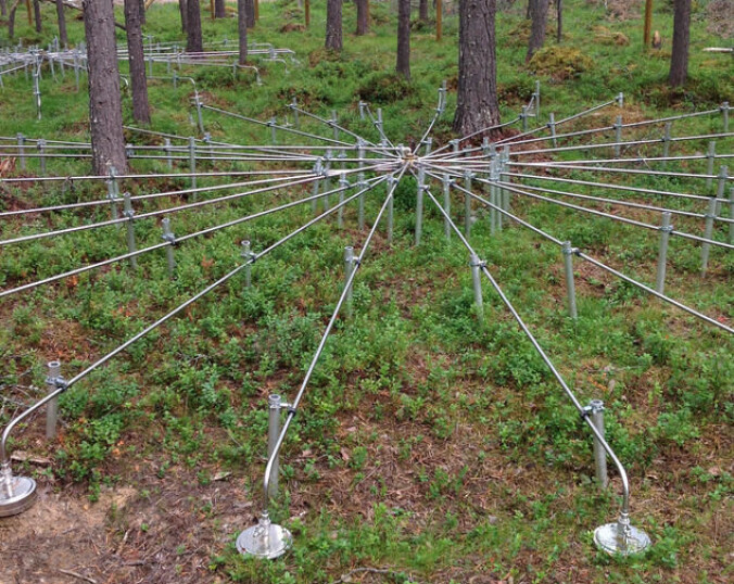 I en furuskog ved Bardufoss fanger disse sensorene opp infralyd. I en furuskog ved Bardufoss fanger disse sensorene opp infralyd.