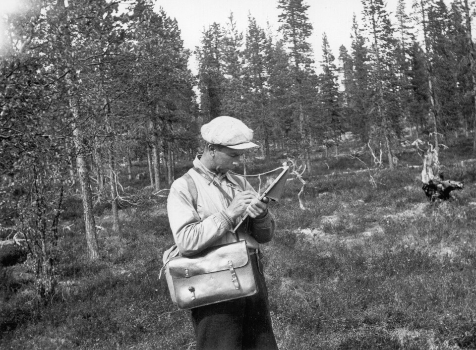Feltarbeider i landsskogtaksering med skjema og veske under registrering. Kanskje tatt på 1940-tallet. (Foto: Emil Stang, Skog og landskap)