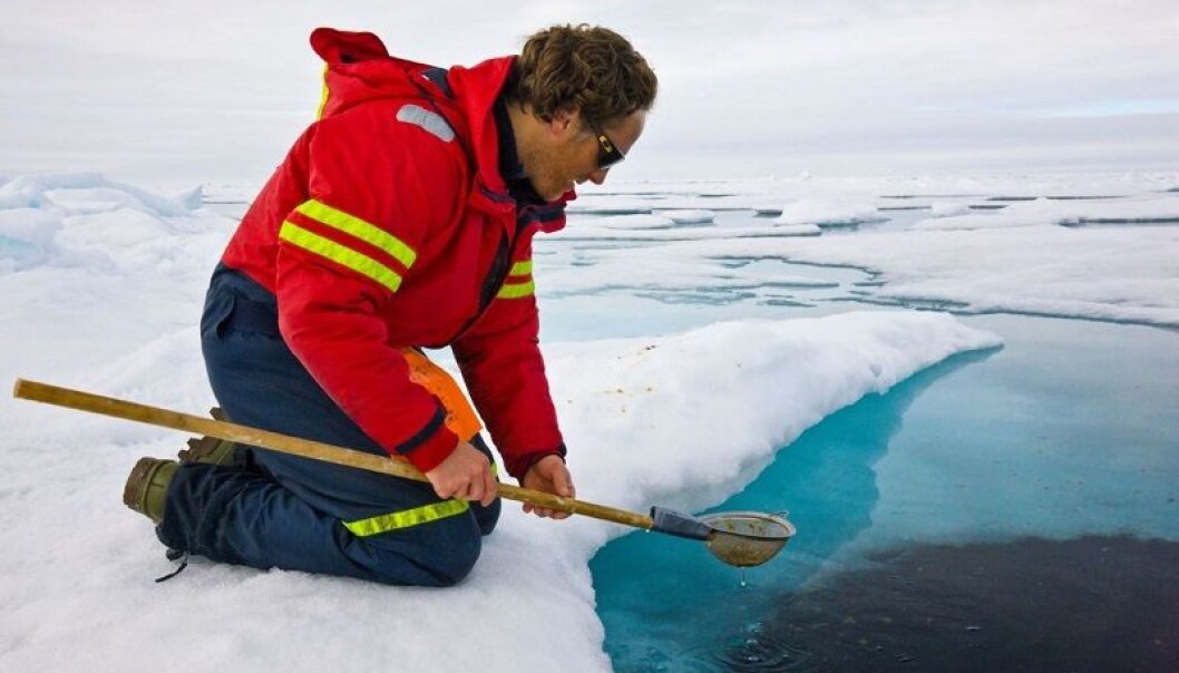 Forsker Phillipp Assmy samler inn plankton fra Polhavet. Forsker Phillipp Assmy samler inn plankton fra Polhavet.