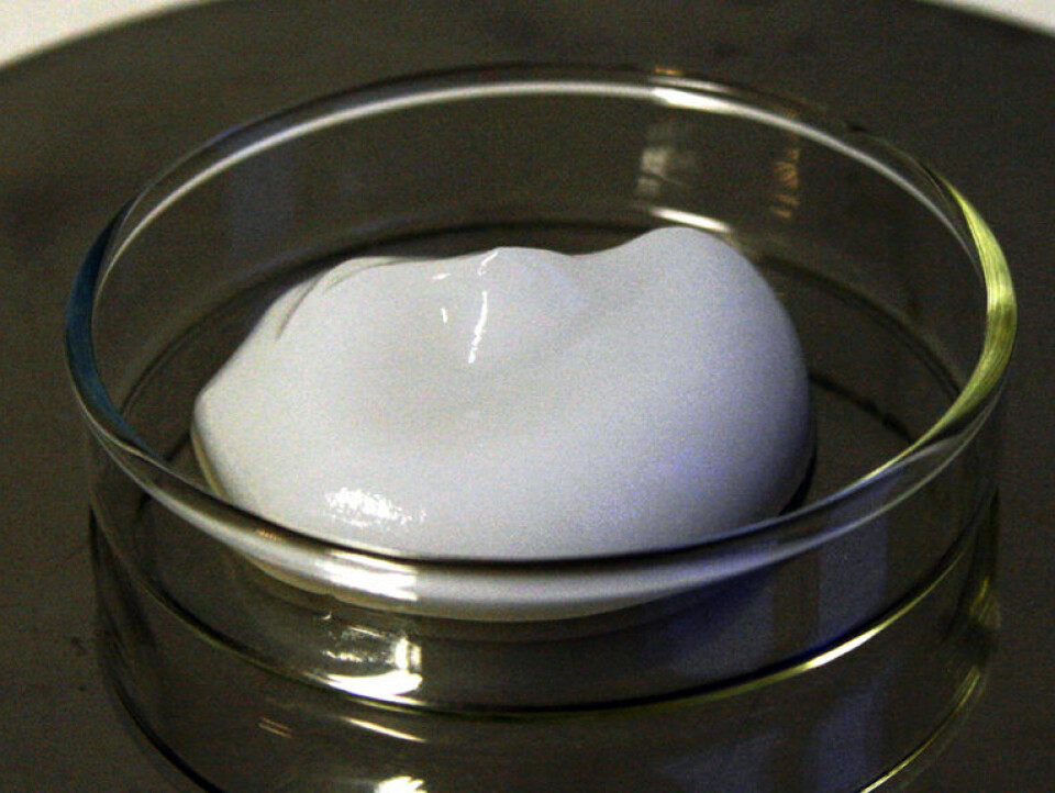 This picture shows how effectively nanocellulose binds water. The “blob” consists of two per cent nanocellulose and 98 per cent water.