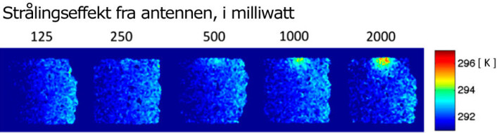Forskerne David H. Gultekin og Lothar Moeller har målt varmen i hjernen som lages av strålingen fra en mobiltelefon. De har brukt en type magnetresonans-maskin og målt på en kuhjerne. Forskerne mener at metoden kan utvikles videre, slik at den også kan brukes på menneskehjerner. (Foto: (Figur: David H. Gultekin og Lothar Moeller/PNAS)) Forskerne David H. Gultekin og Lothar Moeller har målt varmen i hjernen som lages av strålingen fra en mobiltelefon. De har brukt en type magnetresonans-maskin og målt på en kuhjerne. Forskerne mener at metoden kan utvikles videre, slik at den også kan brukes på menneskehjerner. (Foto: (Figur: David H. Gultekin og Lothar Moeller/PNAS))