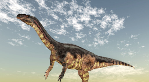 Forskere fant en ung dinosaur som lignet på foreldrene sine Forskere fant en ung dinosaur som lignet på foreldrene sine