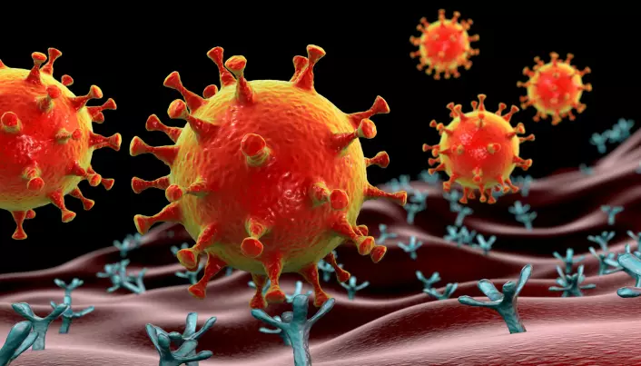 Hvorfor blir barn sjelden syke av koronaviruset?