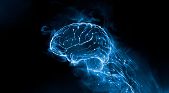 Slik overvaker hjernen si eiga mjølkesyre