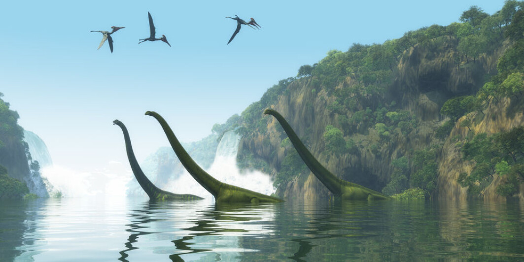 Andre fase av det såkalte B10K-prosjektet bekrefter forskernes forklaring fra sin første genomstudie om at gener forsvinner og blir tapt fra den felles stamformen som var felles med dinosaurene. Andre fase av det såkalte B10K-prosjektet bekrefter forskernes forklaring fra sin første genomstudie om at gener forsvinner og blir tapt fra den felles stamformen som var felles med dinosaurene.