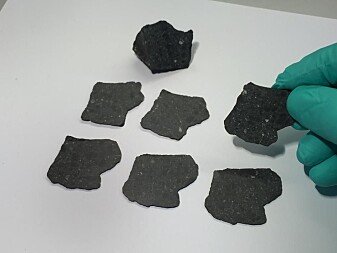 De danske forskerne har fått fatt på i alt 44 gram av <span class="italic" data-lab-italic_desktop="italic">Black Beauty</span>. Av dette har 22 gram blitt skåret opp i tynne skiver som skal brukes i ulike forskningsprosjekter. Det er de siste 22 grammene vi ser på bildet. De danske forskerne har fått fatt på i alt 44 gram av <span class="italic" data-lab-italic_desktop="italic">Black Beauty</span>. Av dette har 22 gram blitt skåret opp i tynne skiver som skal brukes i ulike forskningsprosjekter. Det er de siste 22 grammene vi ser på bildet.