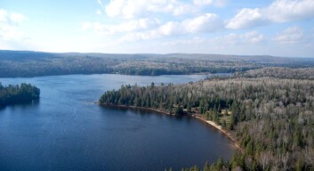I Algonquin-parken i Canada strekker skogen seg så langt øyet kan se, og det kan være vanskelig å se ulven. Men ikke nødvendigvis å høre den. (Foto: Hanne Østli Jakobsen) I Algonquin-parken i Canada strekker skogen seg så langt øyet kan se, og det kan være vanskelig å se ulven. Men ikke nødvendigvis å høre den. (Foto: Hanne Østli Jakobsen)