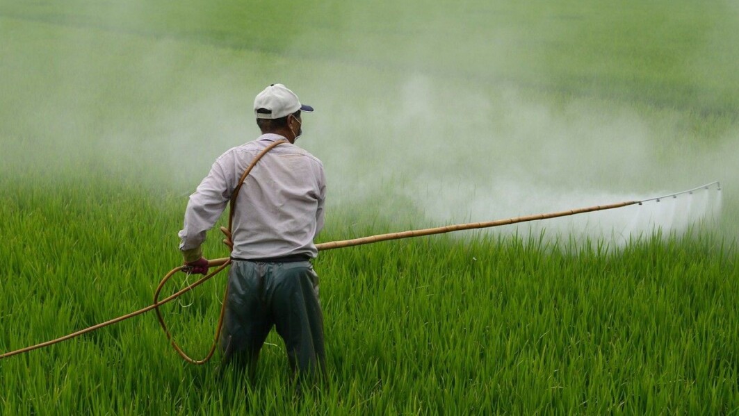 About two-thirds of the nitrous oxide emissions in agriculture come from the use of synthetic fertilisers. Excess fertiliser makes great food for soil bacteria and enhances the microbial processes that lead to nitrous oxide emissions, says Glen Peters, research director at CICERO Center for International Climate Research. About two-thirds of the nitrous oxide emissions in agriculture come from the use of synthetic fertilisers. Excess fertiliser makes great food for soil bacteria and enhances the microbial processes that lead to nitrous oxide emissions, says Glen Peters, research director at CICERO Center for International Climate Research.