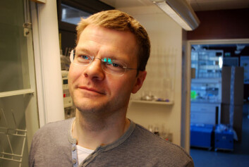 Torkjel M. Sandanger (Foto: Helge M. Markusson, Framsenteret) Torkjel M. Sandanger (Foto: Helge M. Markusson, Framsenteret)