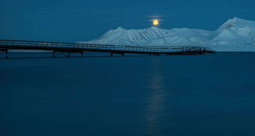 Mørketid med fullmåne i blåtimen, her over «gammelkaia» ved Ny-Ålesund. Kaia er i ferd med å kollapse under påvirkning fra naturkreftene, og ferdsel på den er forbudt. Mørketid med fullmåne i blåtimen, her over «gammelkaia» ved Ny-Ålesund. Kaia er i ferd med å kollapse under påvirkning fra naturkreftene, og ferdsel på den er forbudt.