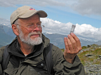 Arne Fjellberg på edderkoppjakt i alpine tørrenger i Vang i Valdres. Foto: (Foto: Privat) Arne Fjellberg på edderkoppjakt i alpine tørrenger i Vang i Valdres. Foto: (Foto: Privat)