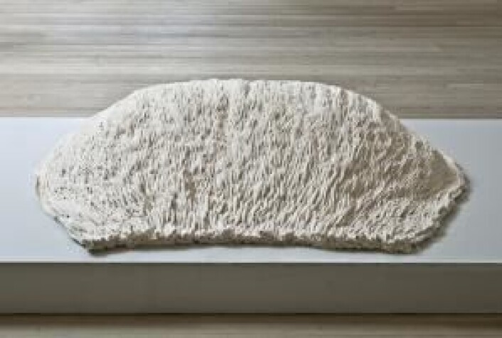 Stoffskilpadden «Priel» er et annet designforslag. Priel er cirka en meter lang og kan plasseres i et rom for å ta brodden at akustikken og gi rommet et mer estetisk uttrykk. (Foto: Ole Akhøj) Stoffskilpadden «Priel» er et annet designforslag. Priel er cirka en meter lang og kan plasseres i et rom for å ta brodden at akustikken og gi rommet et mer estetisk uttrykk. (Foto: Ole Akhøj)