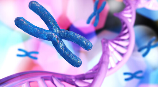 Forskere avviser at kromosomer ser slik ut
