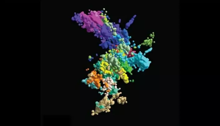 Dette er resultatet av forskere fra Harvard sitt forsøk på å fotografere et kromosom med ny 3D-teknologi. Ikke særlig mye X-form å spore; men teknologien gir et mye riktigere bilde på hvordan et kromosom faktisk ser ut, mener forskerne.