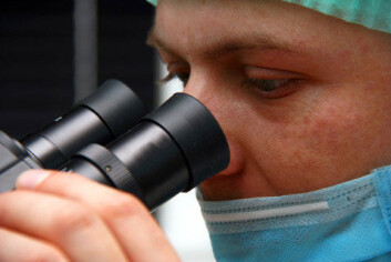 Ved hjelp av en laser montert på et mikroskop kunne forskerne snitte i de umodne eggene og ta ut genmateriale som forteller om eventuelle feil og mangler i eggets modningsprosess. (Foto: Colourbox) Ved hjelp av en laser montert på et mikroskop kunne forskerne snitte i de umodne eggene og ta ut genmateriale som forteller om eventuelle feil og mangler i eggets modningsprosess. (Foto: Colourbox)