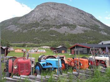 Bispberget i Skjåk. I den tørre furuskogen ved foten av fjellet finnes en stor populasjon av edderkoppen Enoplognatha serratosignata. I april i år ble de første norske hannene funnet akkurat her, og artens identitet kunne endelig bekreftes. Artens hovedutbredelse ligger i Asias steppeområder. Foto: (Foto: Arne Fjellberg) Bispberget i Skjåk. I den tørre furuskogen ved foten av fjellet finnes en stor populasjon av edderkoppen Enoplognatha serratosignata. I april i år ble de første norske hannene funnet akkurat her, og artens identitet kunne endelig bekreftes. Artens hovedutbredelse ligger i Asias steppeområder. Foto: (Foto: Arne Fjellberg)