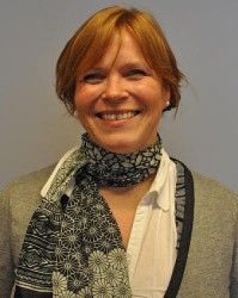 Tone Hellesund er professor i kulturvitenskap ved Universitetet i Bergen. Tone Hellesund er professor i kulturvitenskap ved Universitetet i Bergen.
