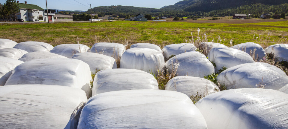 Plast fra rundballer står for 70 prosent av plastforurensingen i norske elver