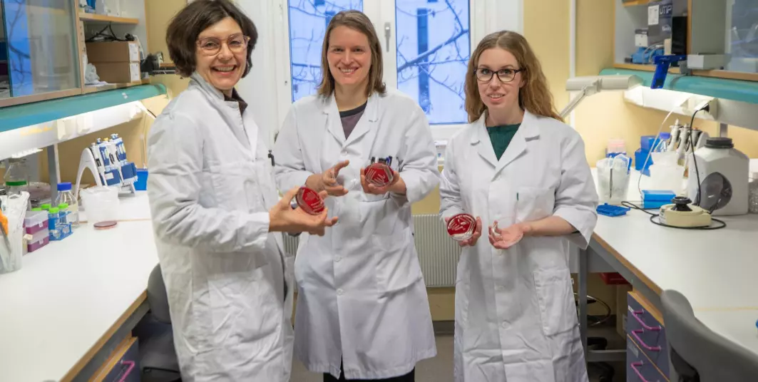 På dette laboratoriet oppdaget forskerne den nye bakterien. Fra venstre: Pauline Cavanagh, Runa Wolden og Maria Pain.