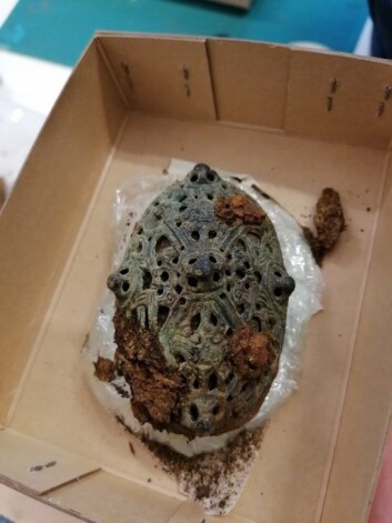 The contents of the turtle brooch might be able to tell us more about who the woman was. The contents of the turtle brooch might be able to tell us more about who the woman was.